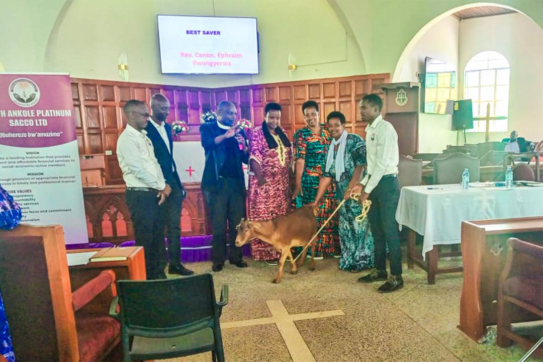 SACCO gallery image 4